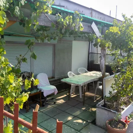 Apartment Terrace